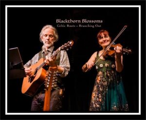 Music Tonight - The Blackthorn Blossoms